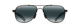 GUARDRAILS Aviators Sunglasses