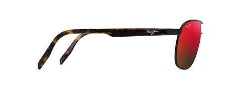 CASTLES Aviators Sunglasses