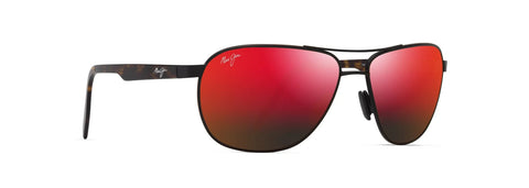 CASTLES Aviators Sunglasses