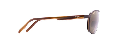 CASTLES Aviators Sunglasses